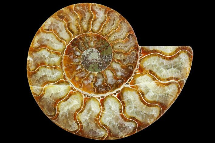 Agatized Ammonite Fossil (Half) - Madagascar #125053